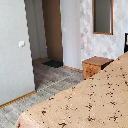 איזמאיל Комфортная Квартира В Тихом Центре מראה חיצוני תמונה